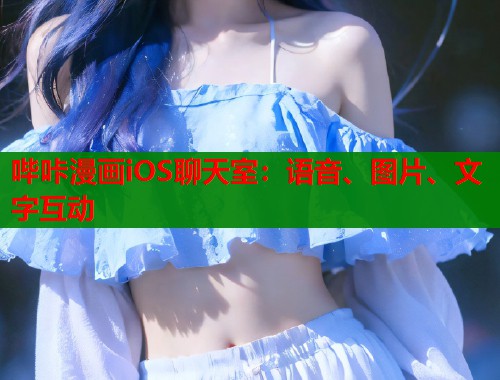 哔咔漫画iOS聊天室：语音、图片、文字互动