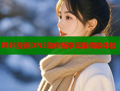 哔咔漫画DNS助你畅享无限阅读体验