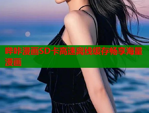 哔咔漫画SD卡高速离线缓存畅享海量漫画