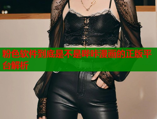 粉色软件到底是不是哔咔漫画的正版平台解析 粉色软件到底是不是哔咔漫画的正版平台解析