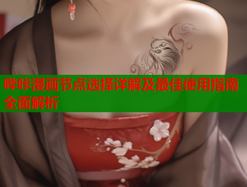 哔咔漫画节点选择详解及最佳使用指南全面解析
